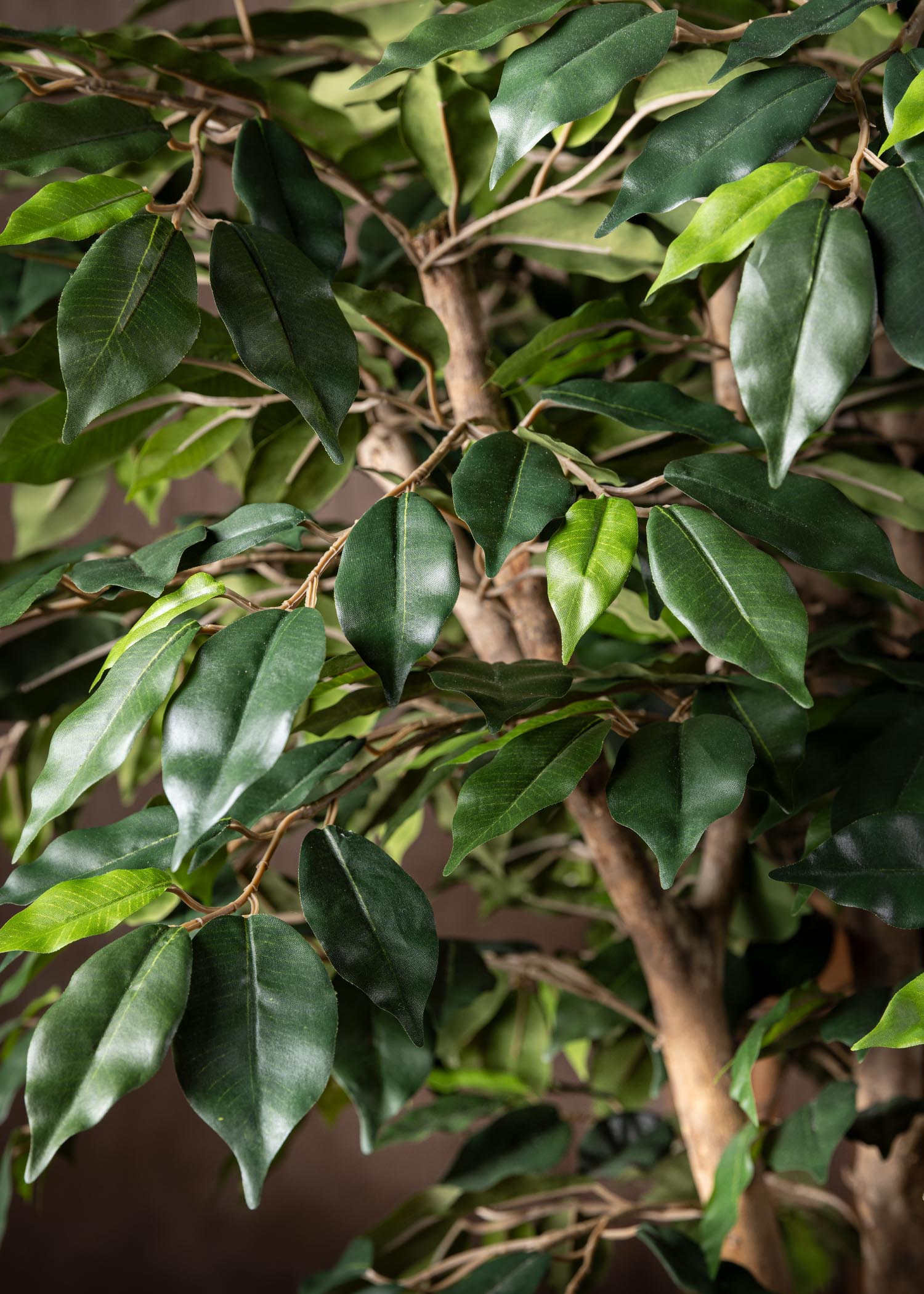 ficus-pianta-artificiale-tronco-particolare-foglia