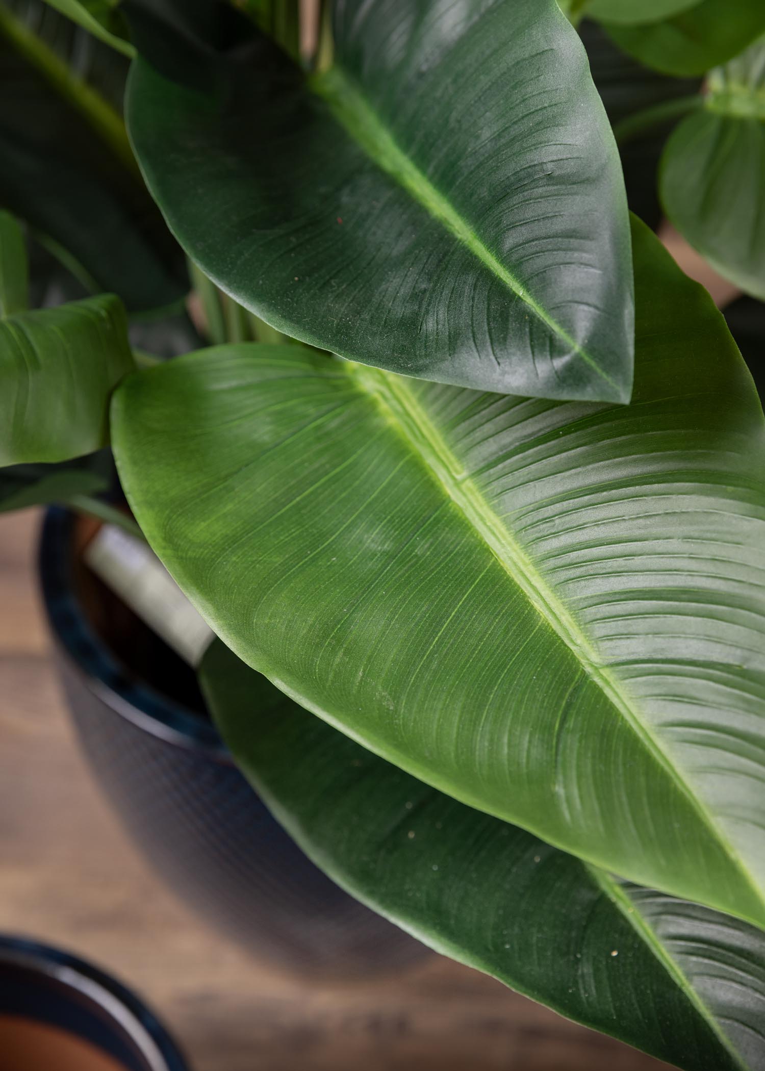 pianta-anthurium-rosso-artificiale-dettaglio-foglie