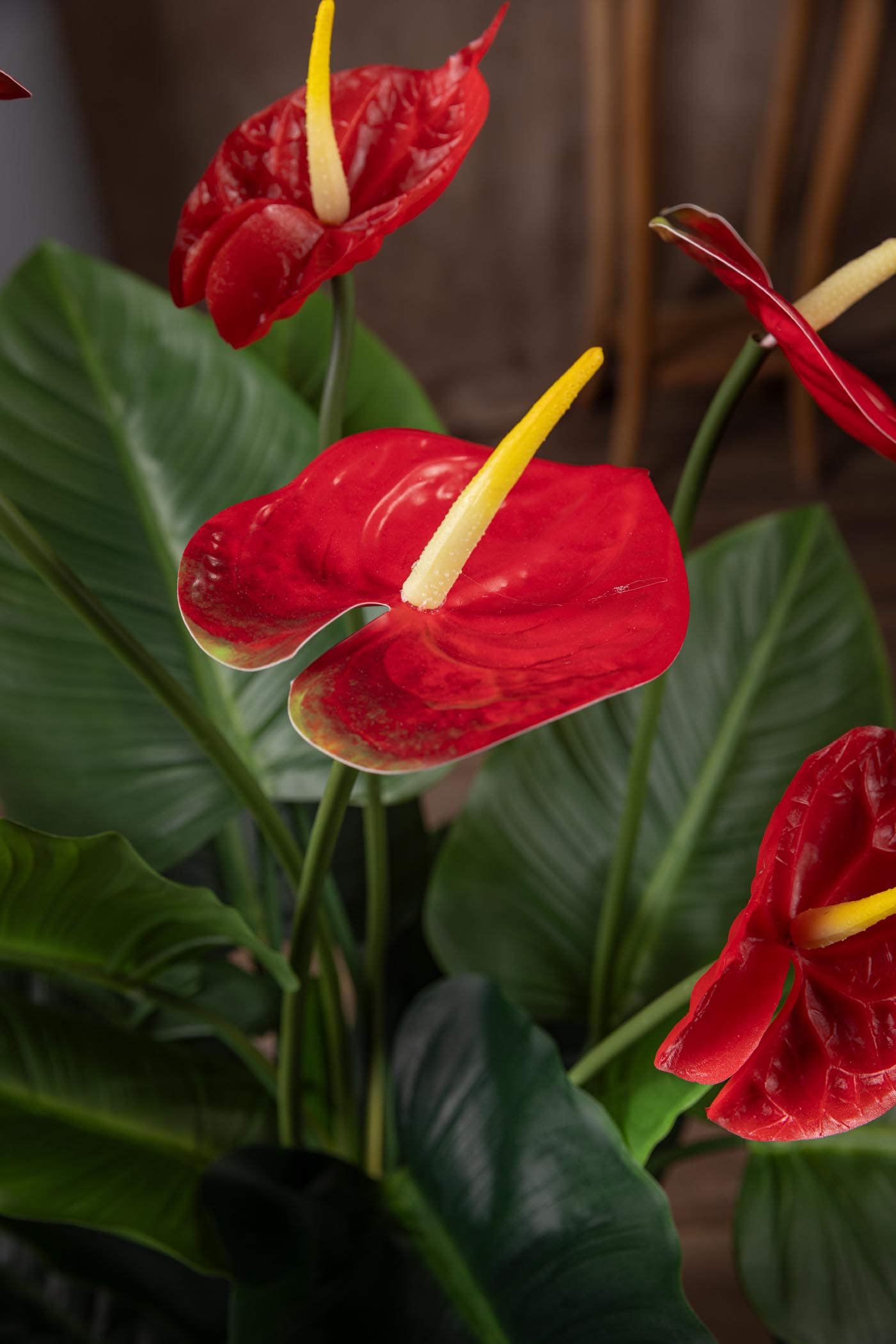 pianta-anthurium-rosso-artificiale-dettaglio-fiori