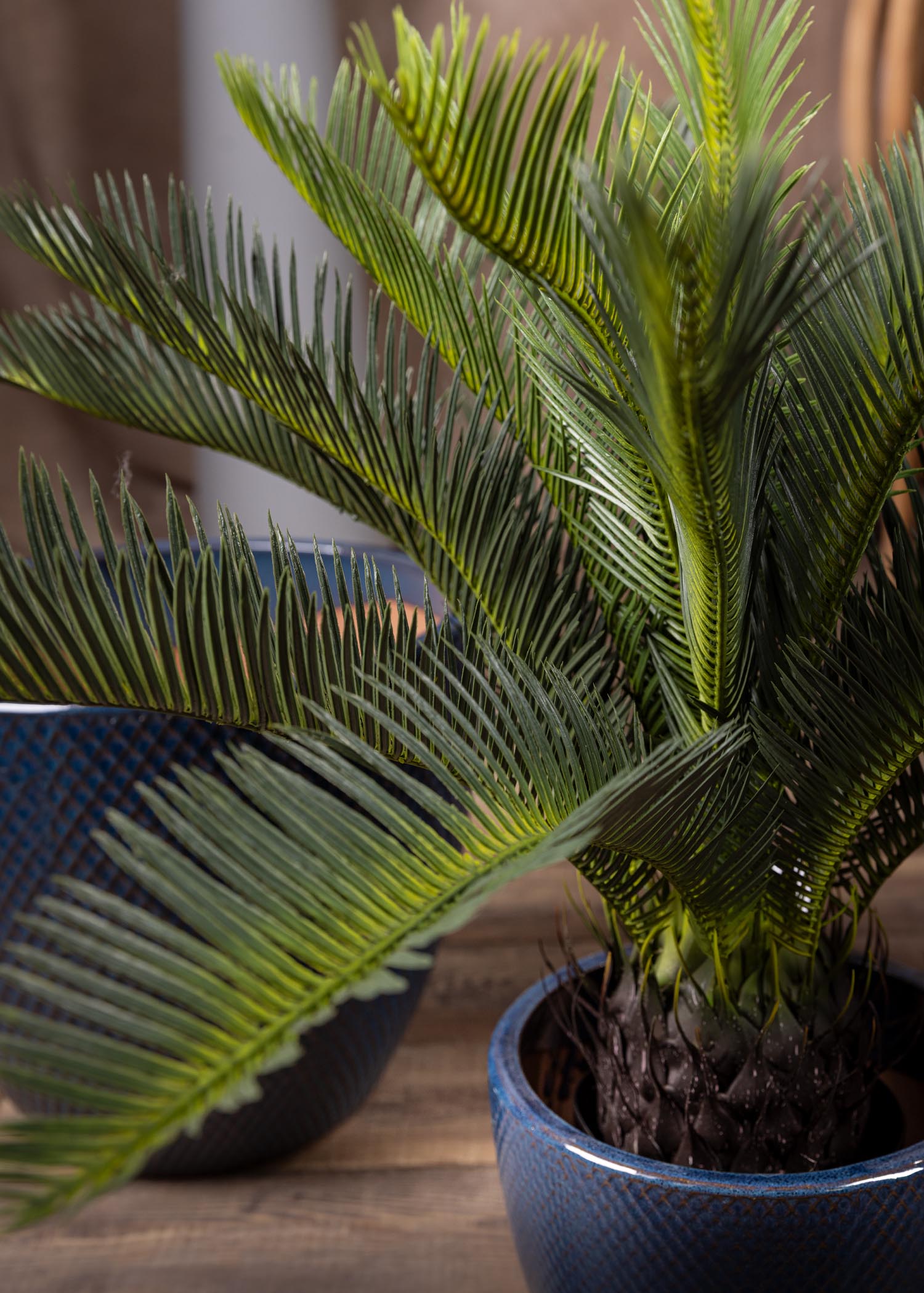 Cycas artificiale realistica – vista frontale foglie a raggiera