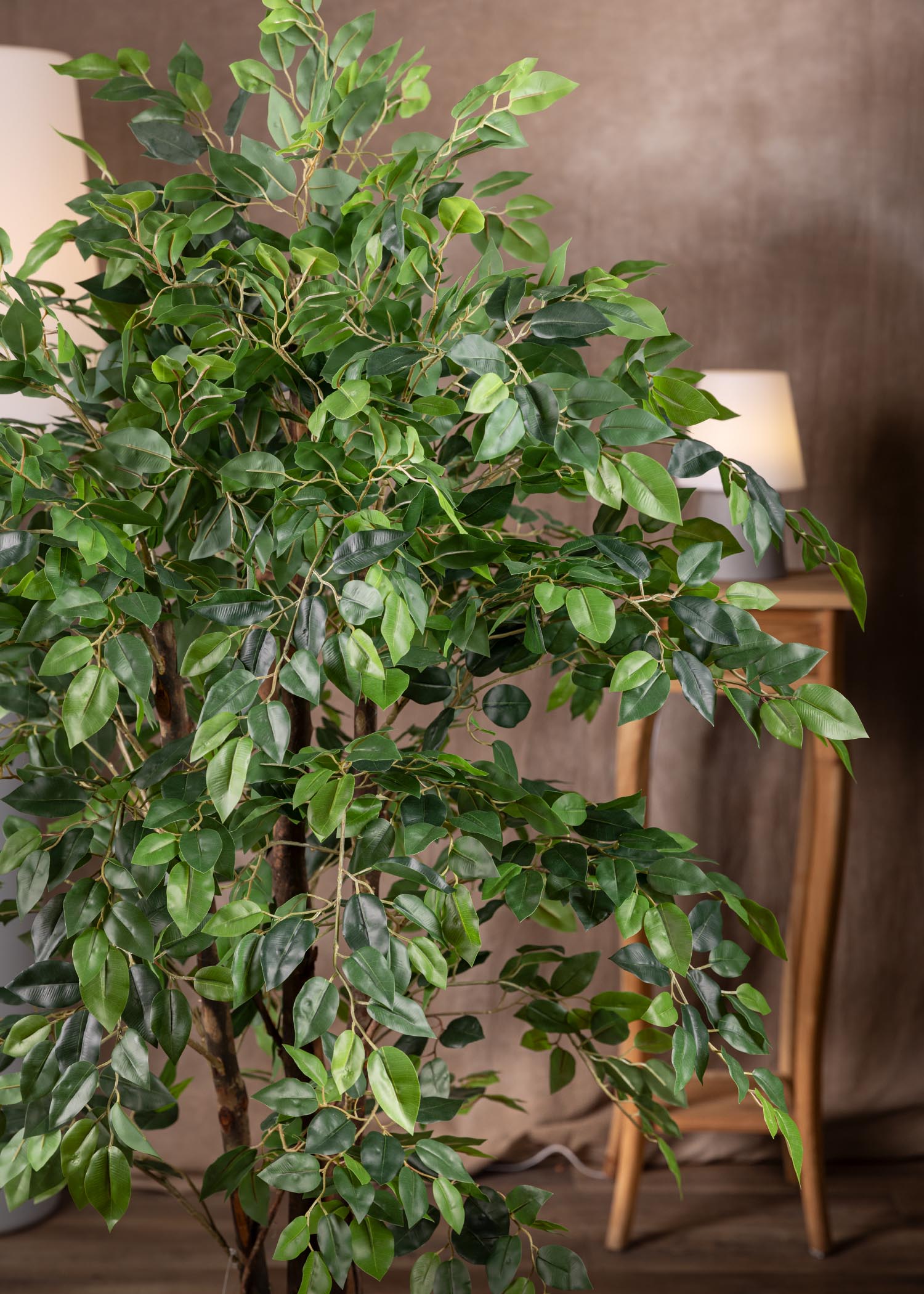 Ficus benjamin artificiale con tronco naturale