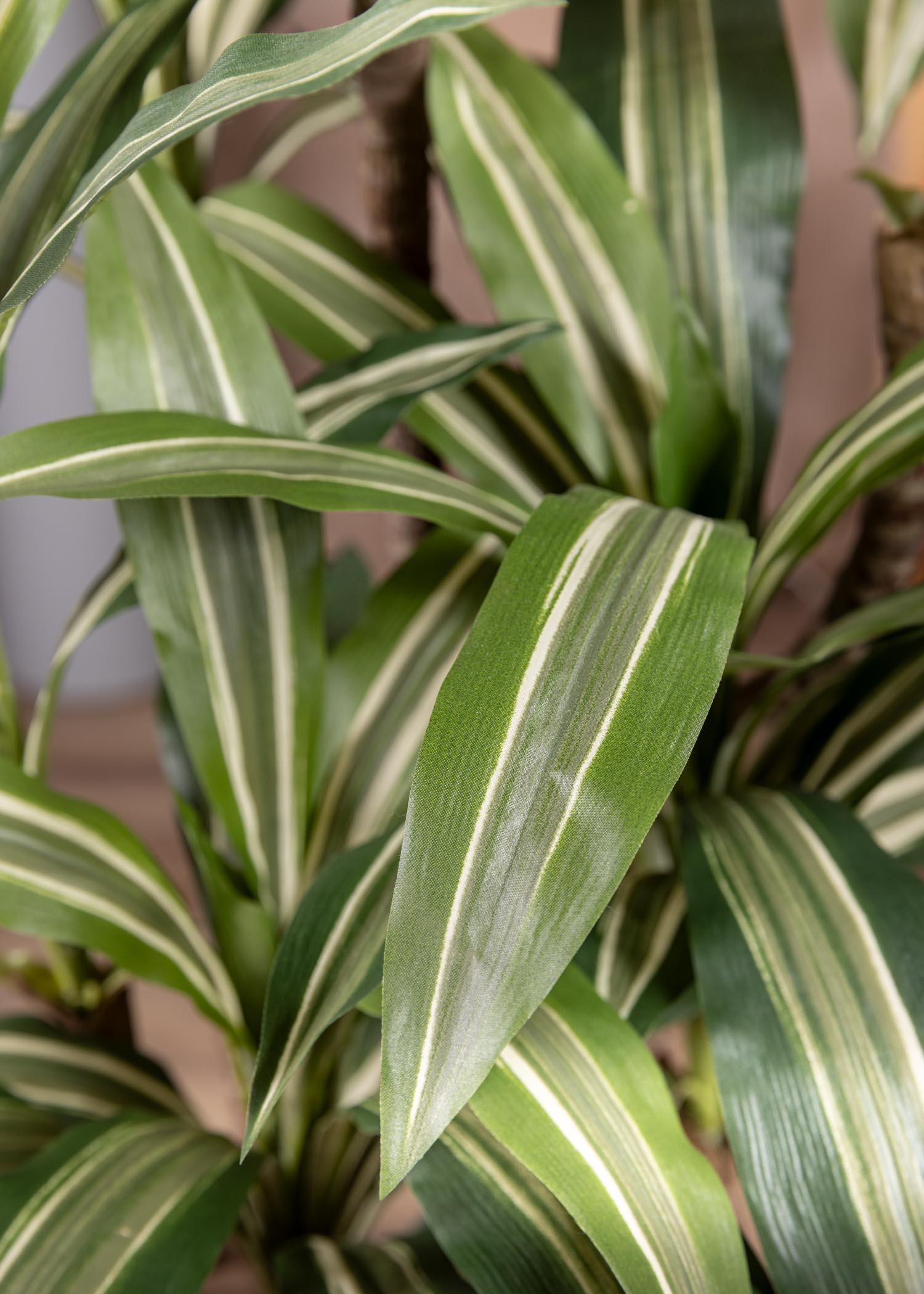 Dettaglio fogliame dracena artificiale