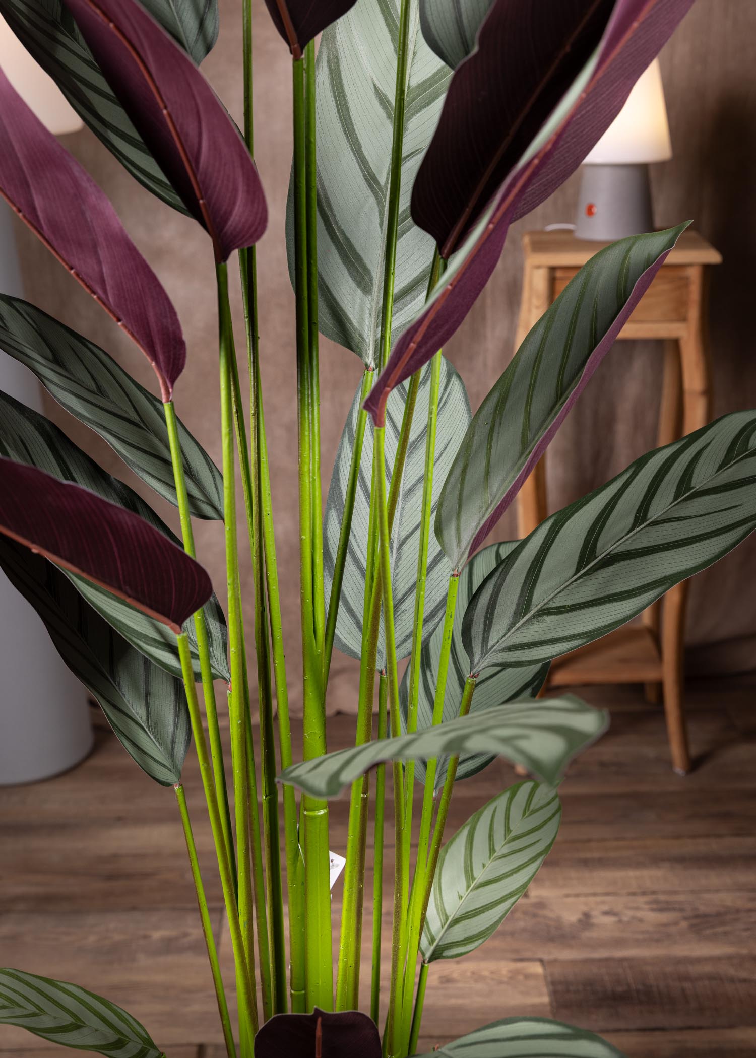 Maranta artificiale dettaglio struttura e fogliame
