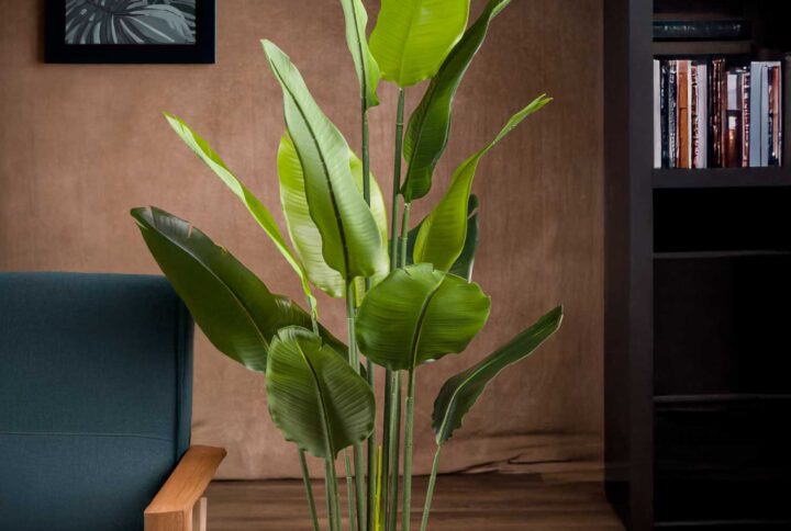 Vista frontale della pianta artificiale Strelitzia da 160 cm - Piante artificiali di altissima qualità e realismo, perfette per arredare con un tocco di eleganza e di stile.