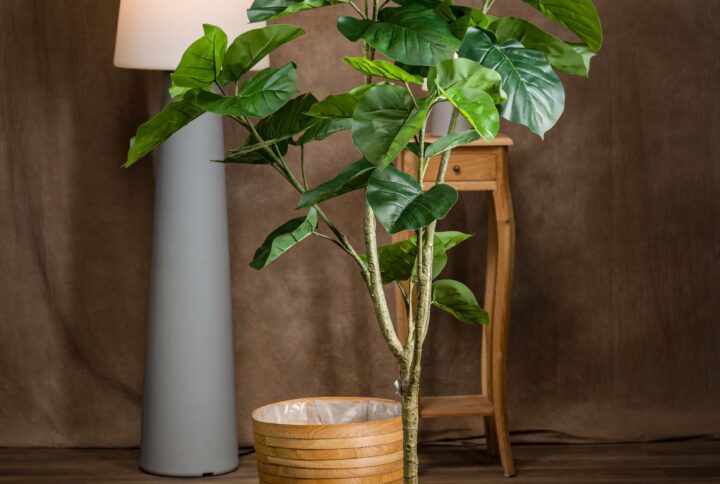 Pianta-Ficus-Umbellata-Artificiale-Vista-Frontale