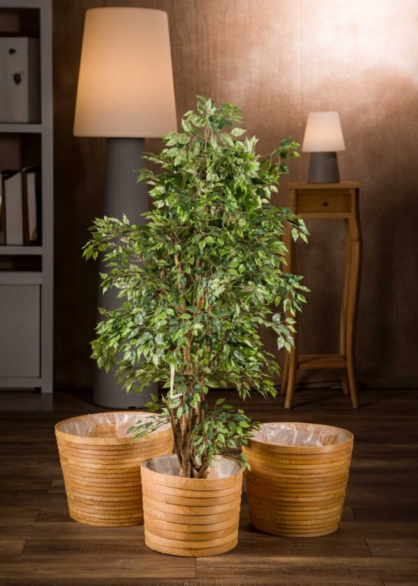 Vista frontale-Mini Ficus pianta artificiale verde - Elegante e realistico, ideale per arredare la casa con un tocco di verde senza manutenzione.