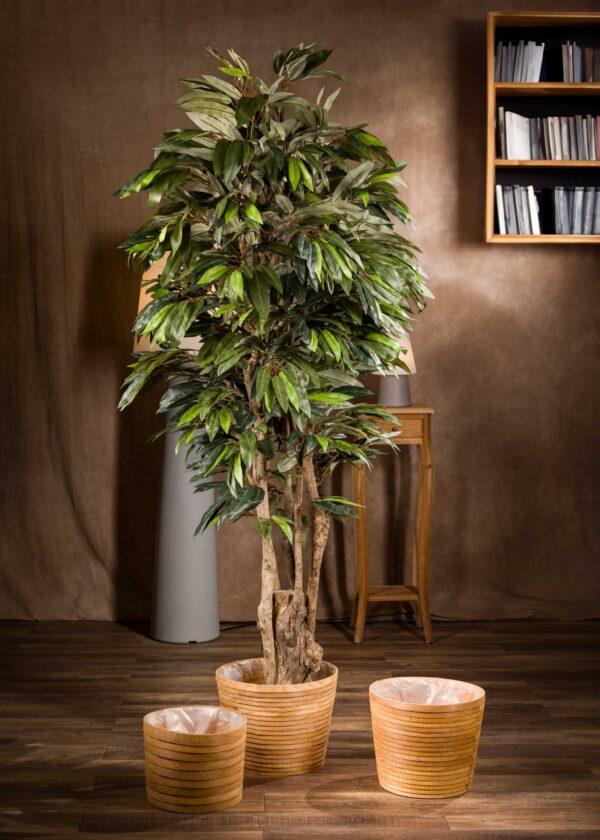 Vista frontale del Mango Artificiale-Mango Artificiale, pianta artificiale realistica con foglie lanceolate e tronco naturale, ideale per arredare con stile la casa o l'ufficio.