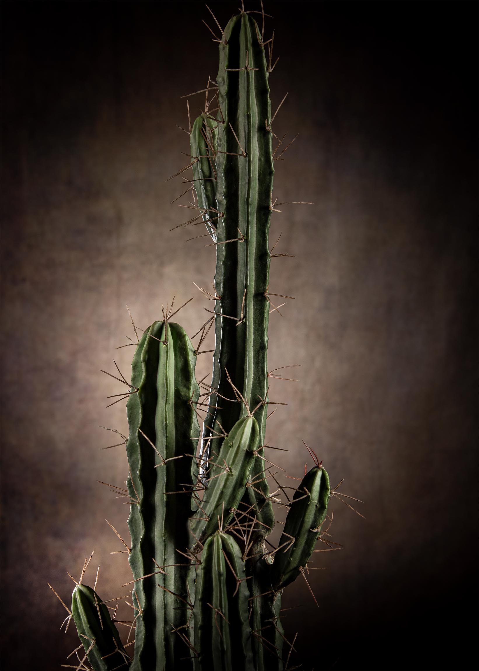 Cactus finto triplo-2