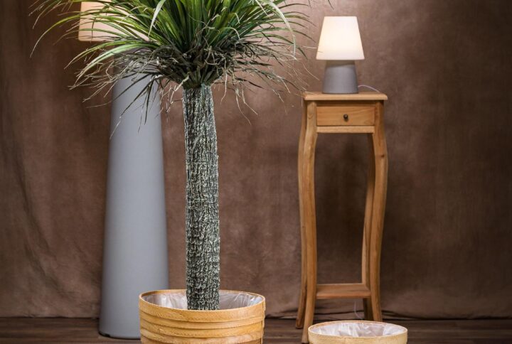 Pianta Yucca elegante artificiale grande, vista generale