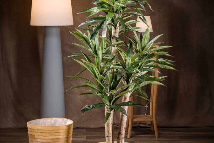 Yucca pianta da Interno Artificiali: Eleganti e Facili da Mantenere