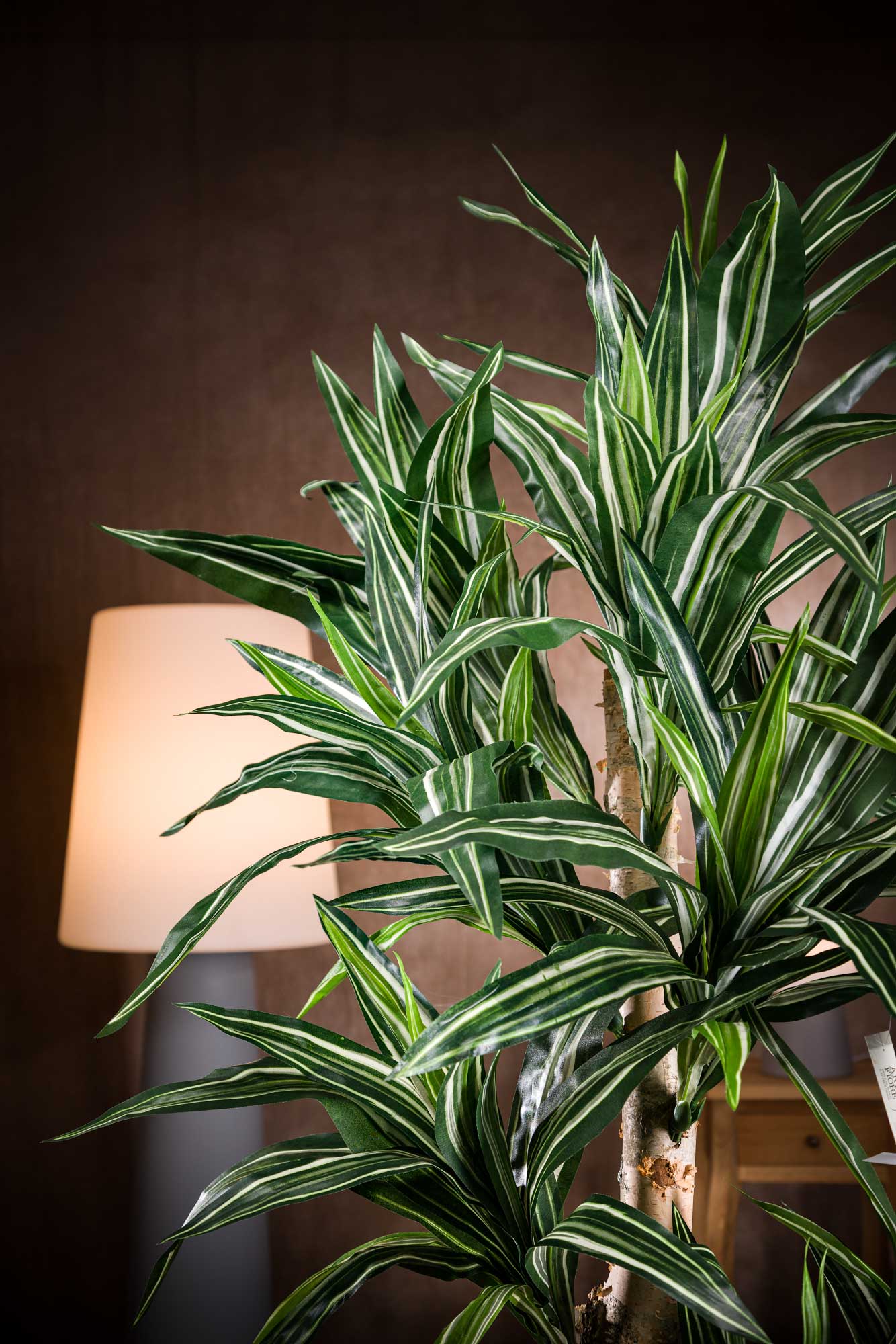 pianta-di-dracena-bausei-artificiale-tipo-a-1