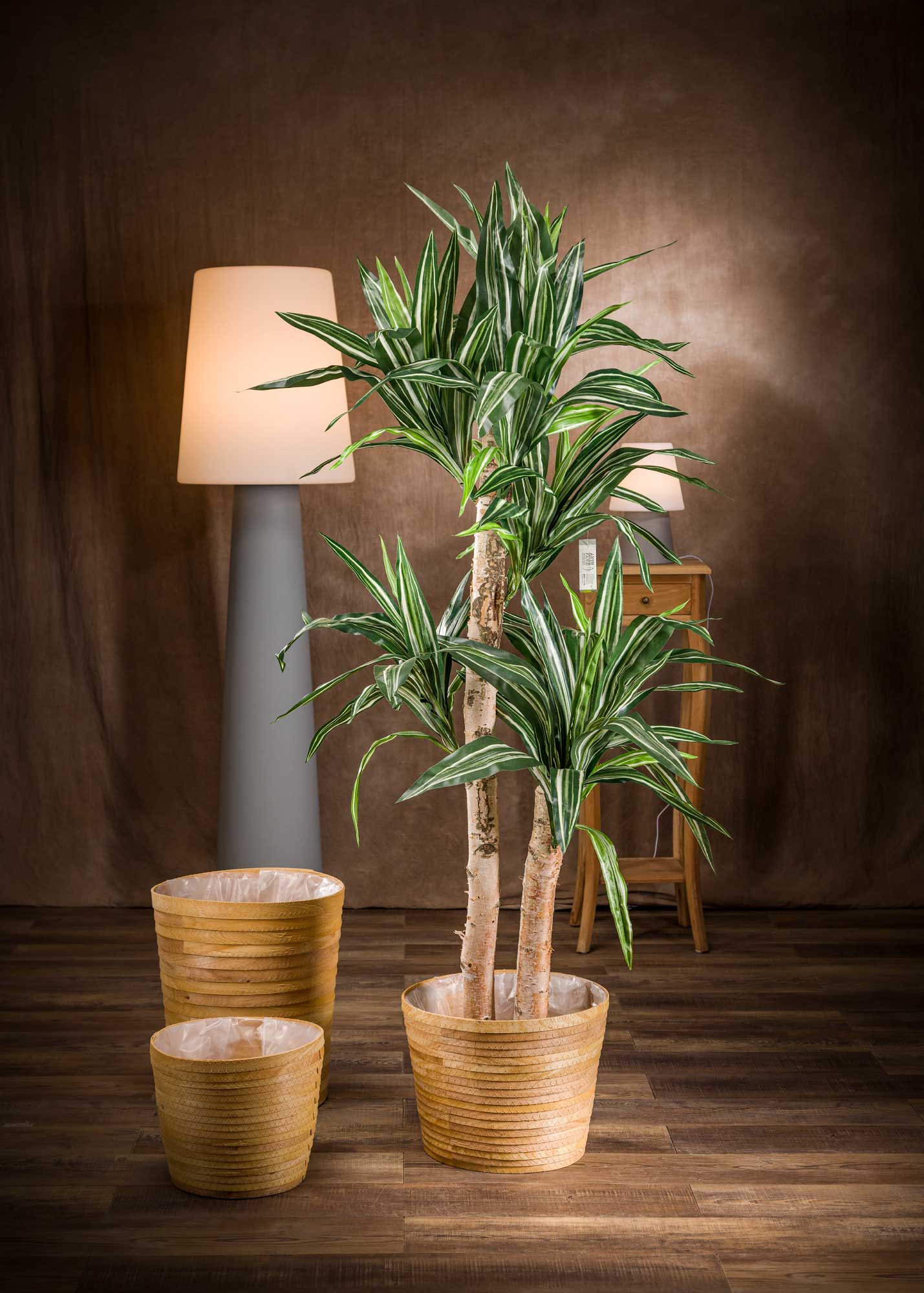 pianta-di-dracena-bausei-artificiale-tipo-B