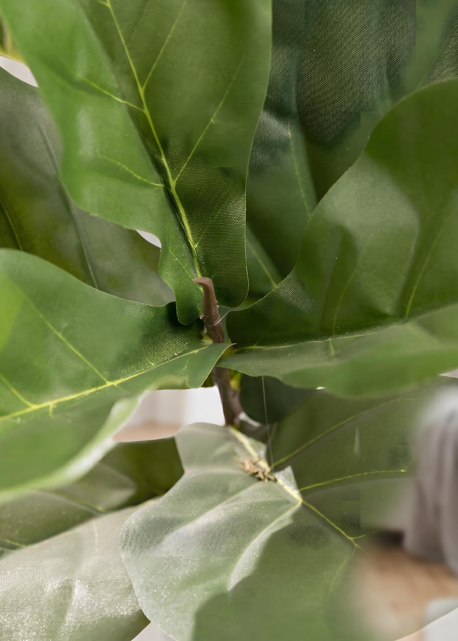 Ficus lyrata artificiale Arte Fiore dettaglio foglie realistiche