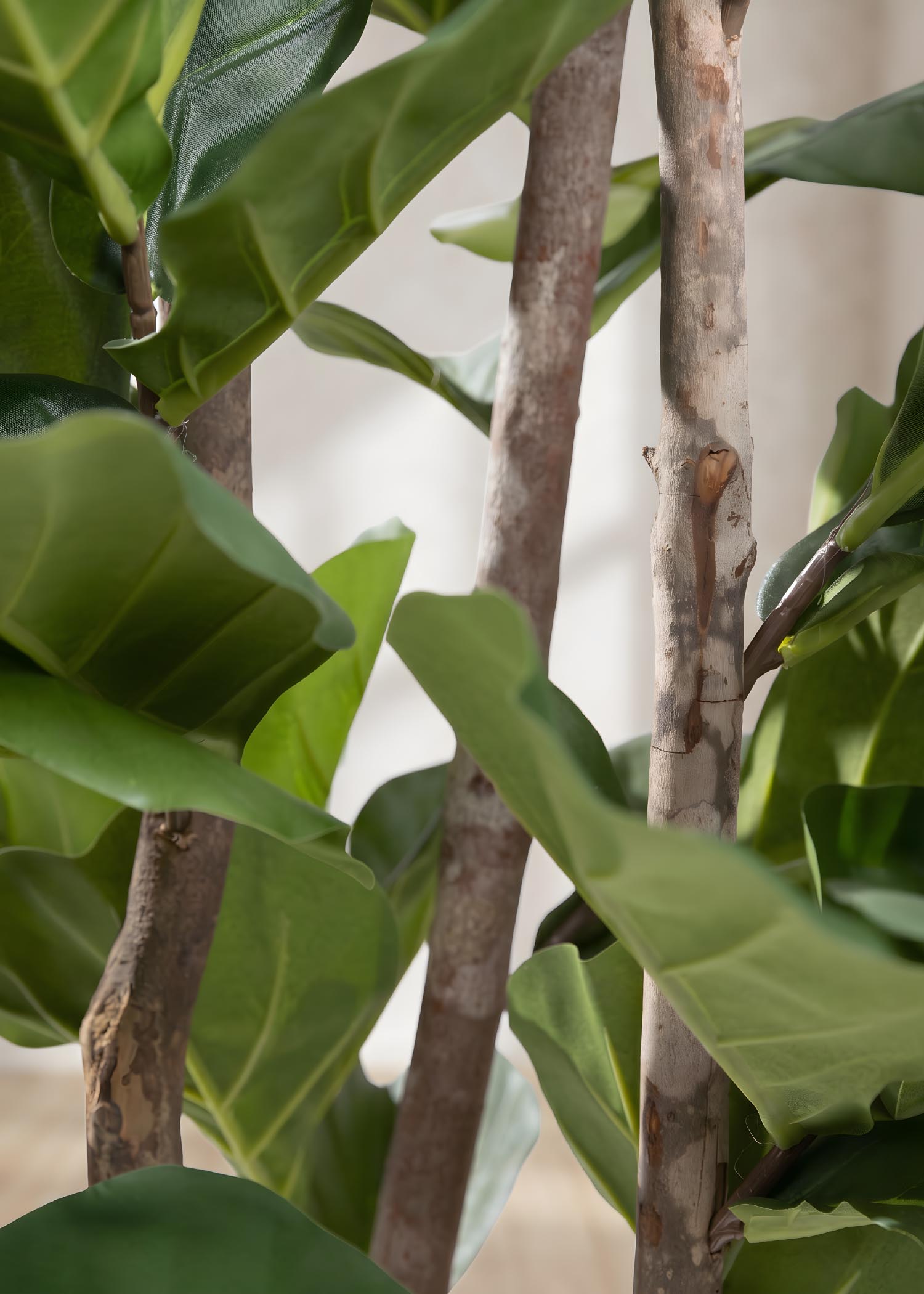Ficus lyrata artificiale Arte Fiore dettaglio tronchi naturali