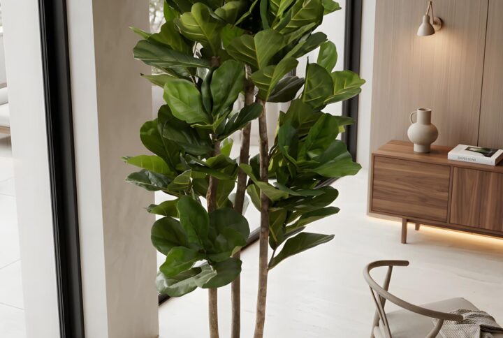 Pianta artificiale Ficus lyrata con vaso sferico moderno