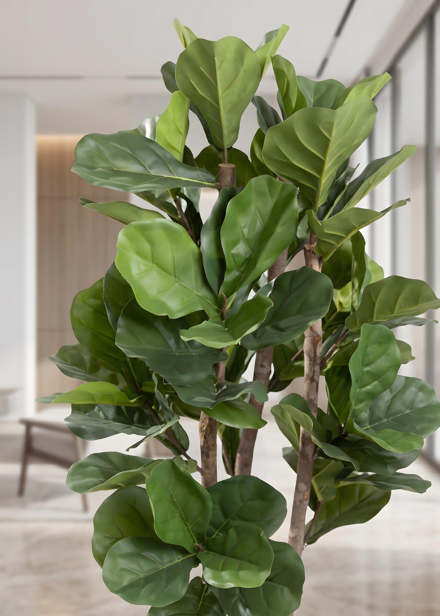 Ficus lyrata artificiale Arte Fiore vista frontale ambientata
