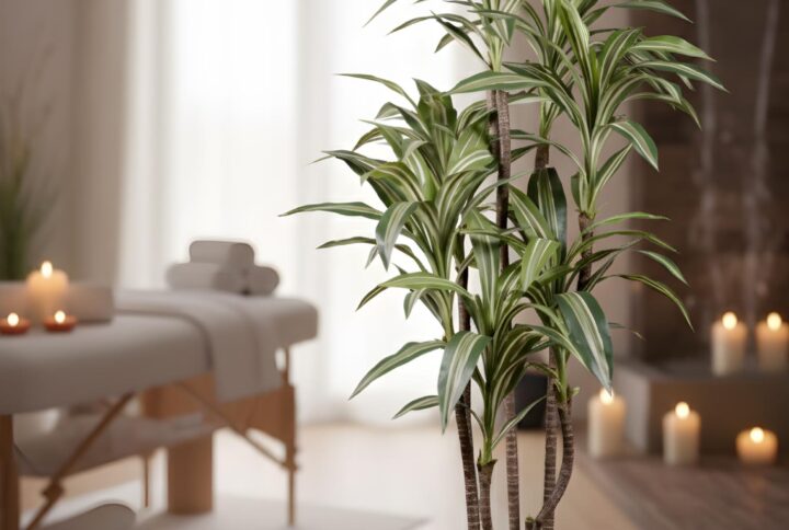 Dracena artificiale stretta in vaso per arredamento interno