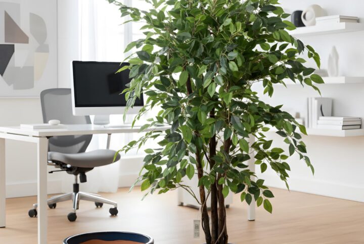 Ficus benjamin artificiale con tronco naturale in vaso decorativo per ufficio e interni