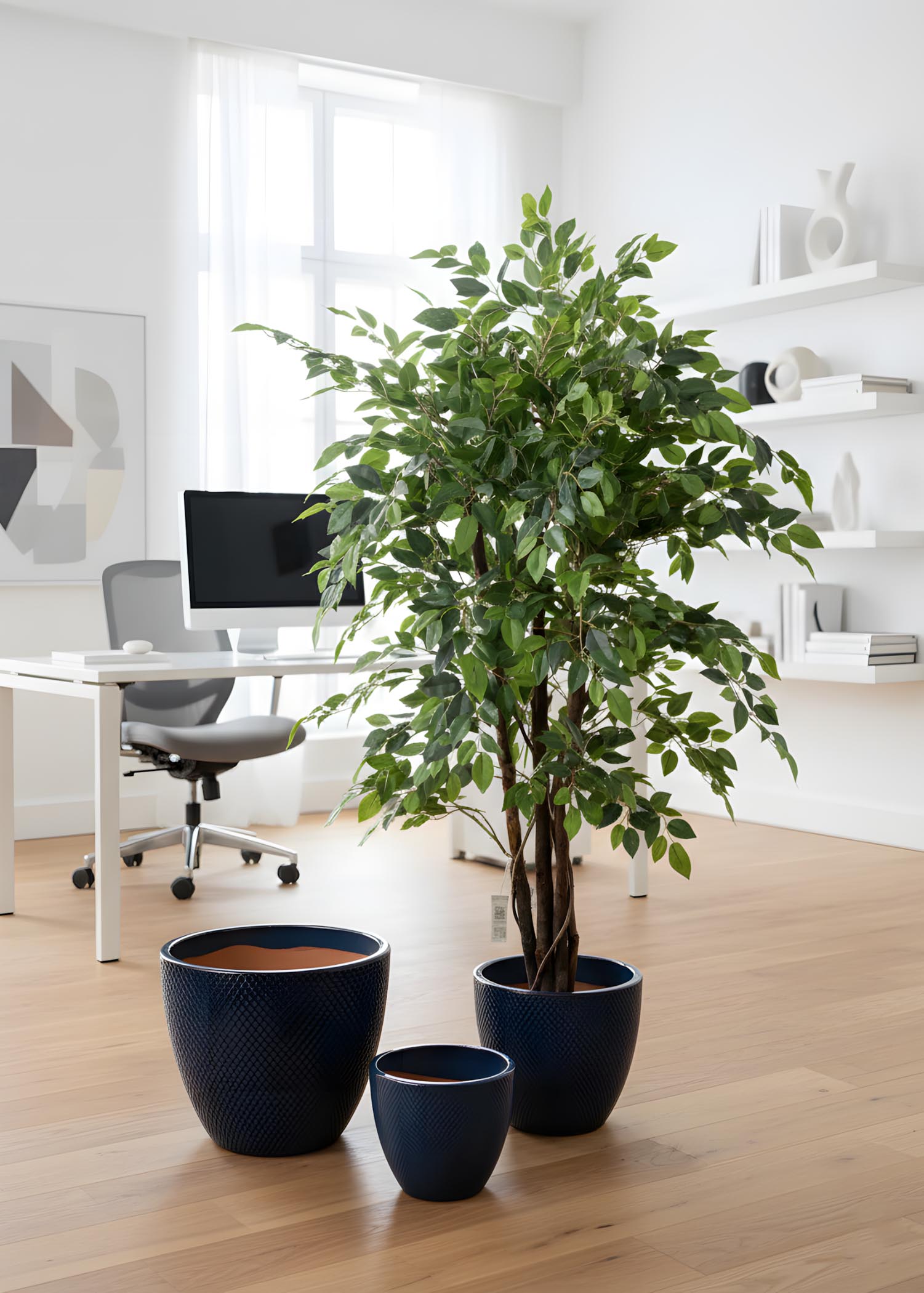 Ficus benjamin artificiale su tronco naturale