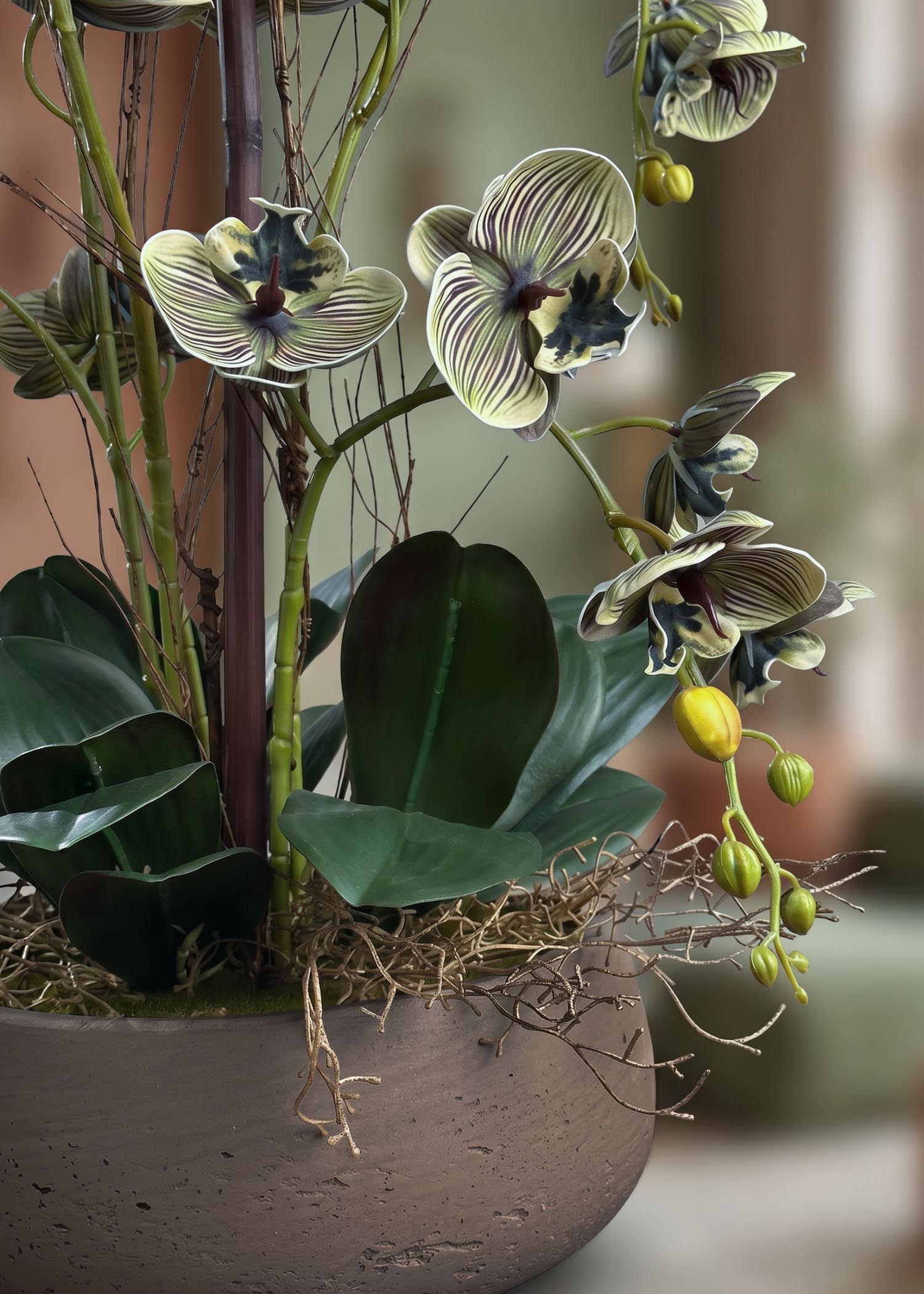 Orchidee-finte-online-Arte-Fiore-dettaglio-fiori-screziati