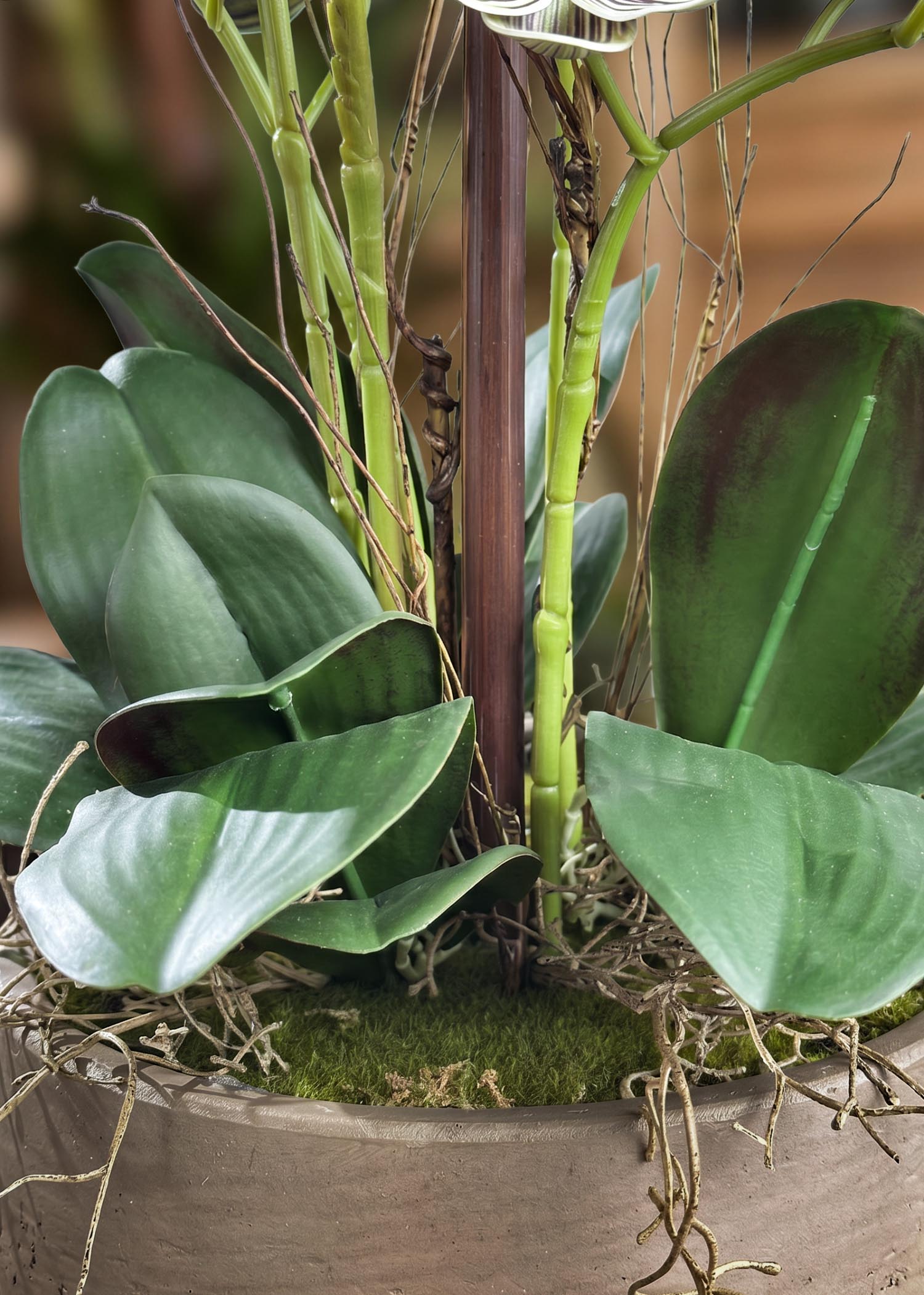 Orchidee-finte-online-Arte-Fiore-dettaglio-foglie-e-base