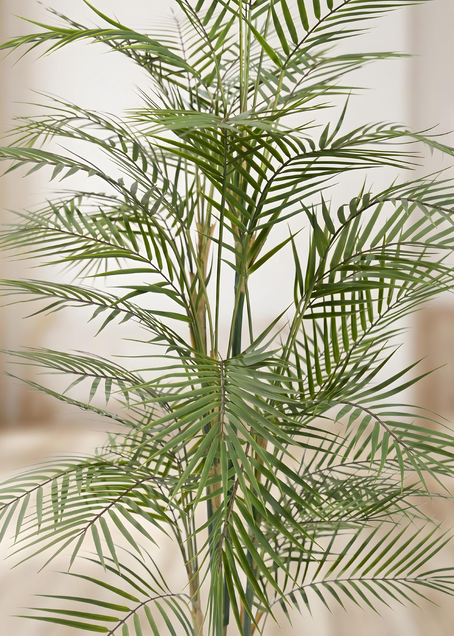 Palma da interno artificiale Arte Fiore dettaglio foglie verdi