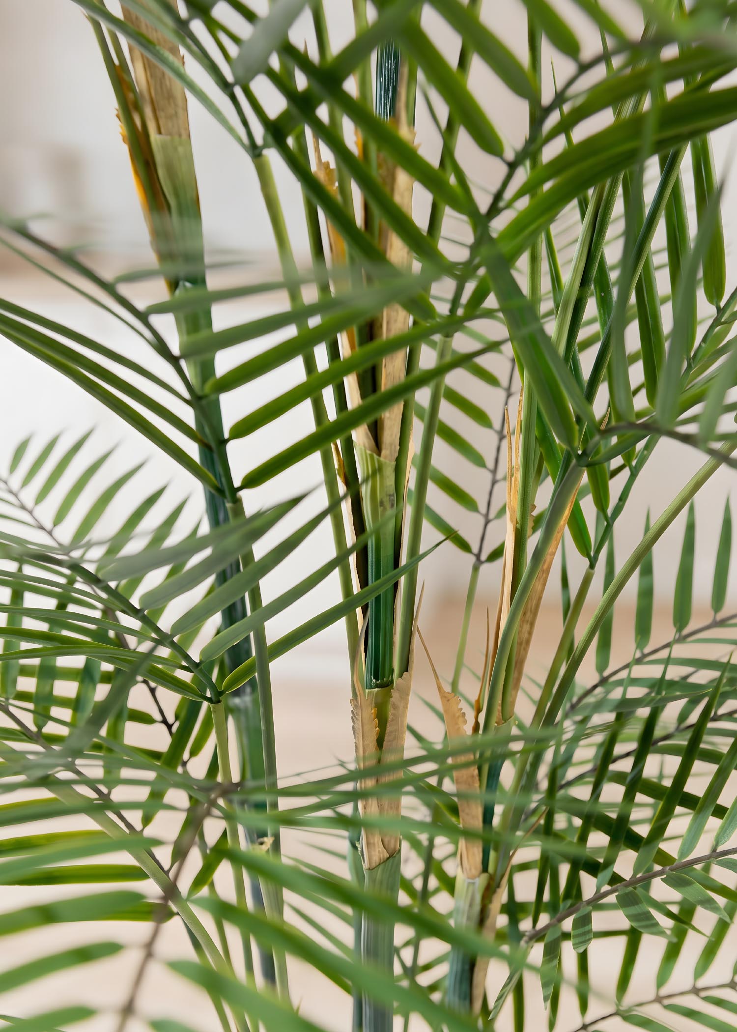 Palma da interno artificiale Arte Fiore dettaglio steli tropical
