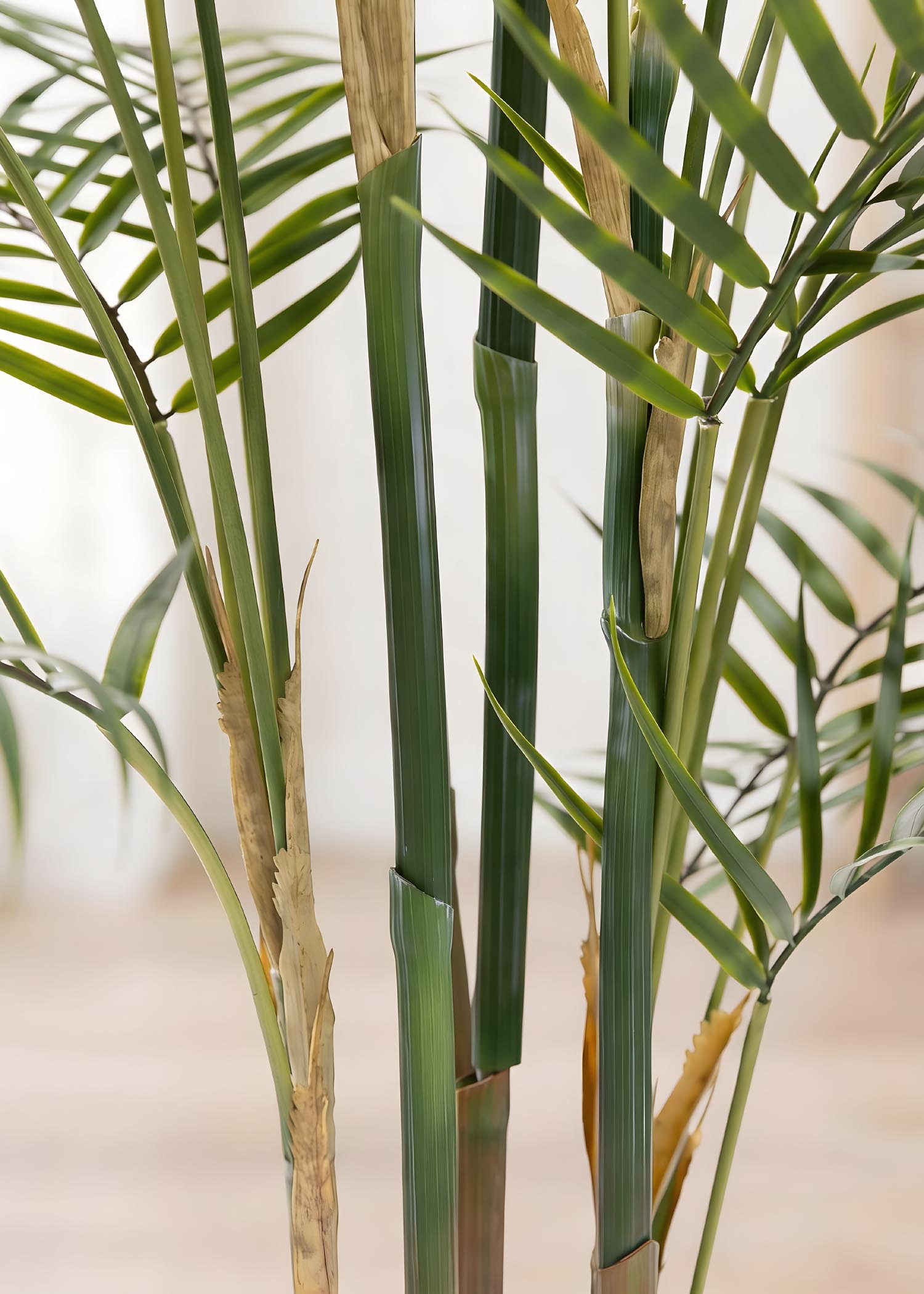 Palma da interno artificiale Arte Fiore dettaglio tronco realist