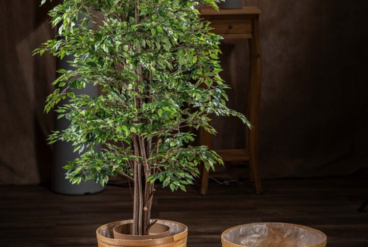 ista frontale del ficus - Mini Ficus pianta artificiale in vaso elegante per interni.