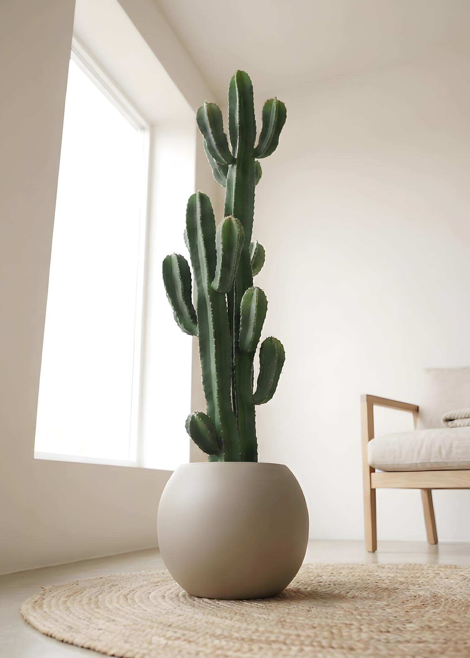 cactus artificiale Arte Fiore vista dal basso