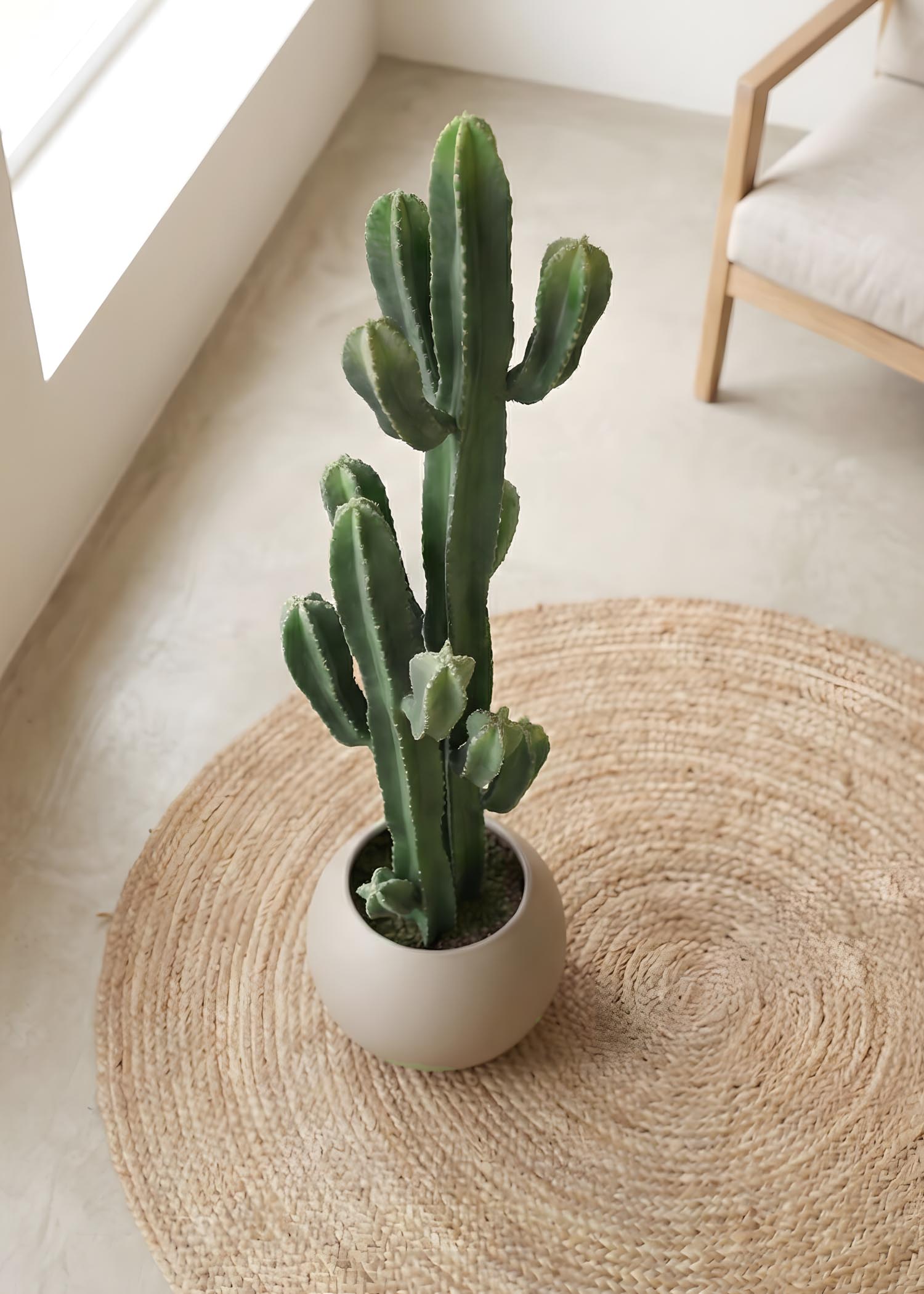 cactus artificiale Arte Fiore vista dall alto