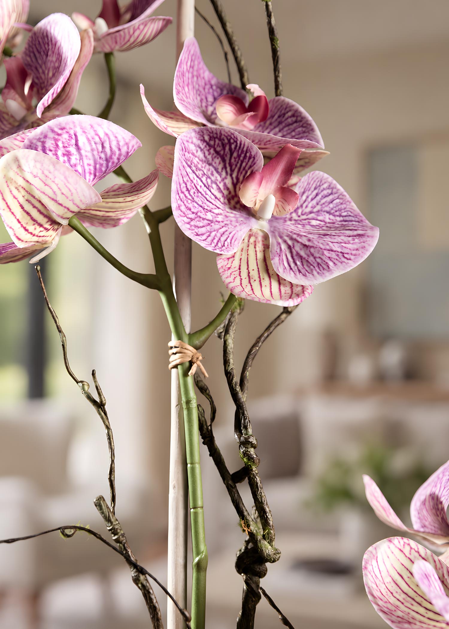 Phalaenopsis artificiali Real Touch – Dettaglio