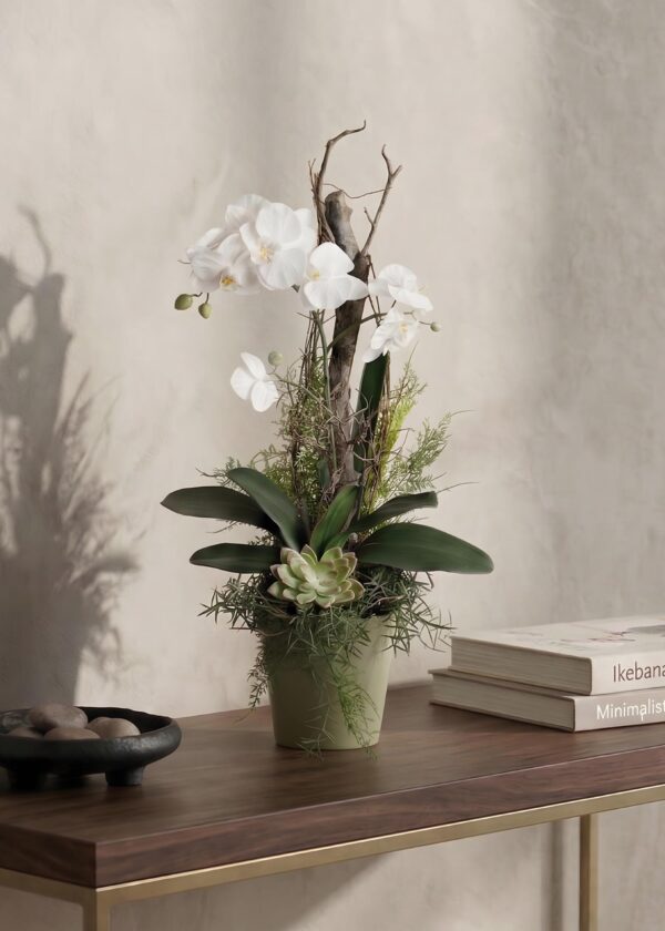 orchidee bianche decorative ambientate su consolle
