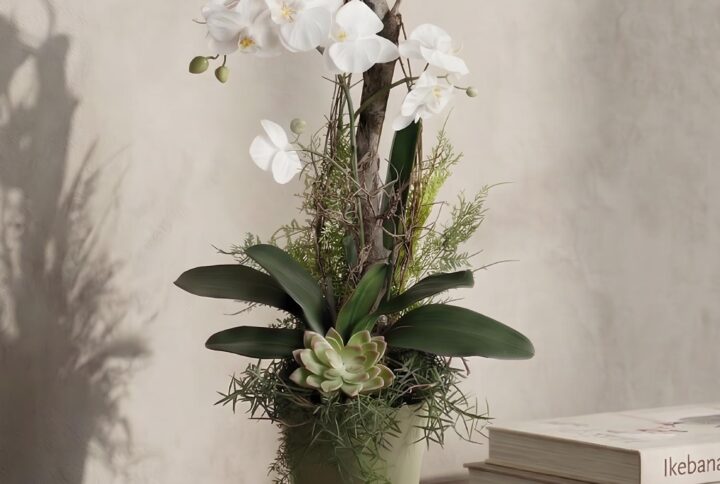orchidee bianche decorative ambientate su consolle