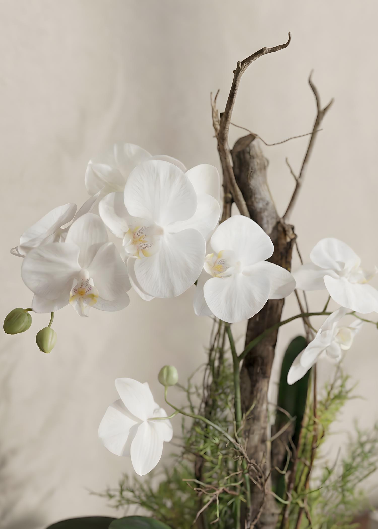 composizioni con orchidee bianche Arte Fiore dettaglio