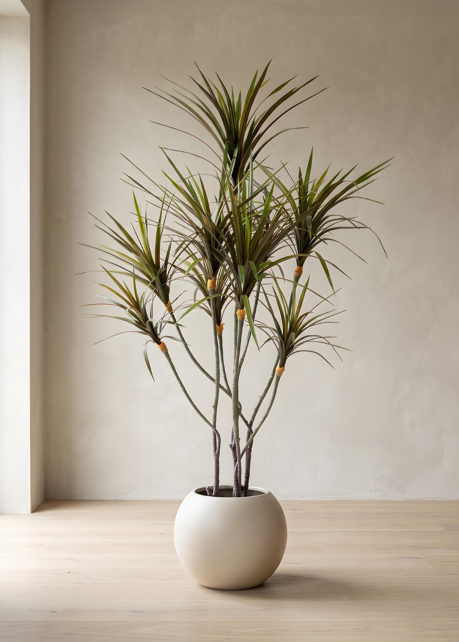 dracena artificiale Arte Fiore ambientata variante verde scuro g