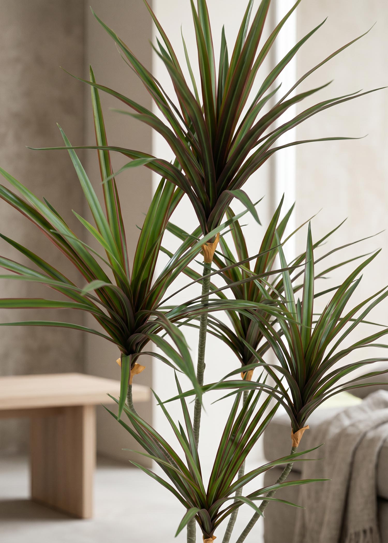 dracena artificiale Arte Fiore dettaglio chioma