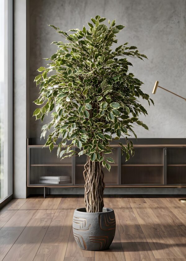 ficus benjamin artificiale ambientato in soggiorno moderno