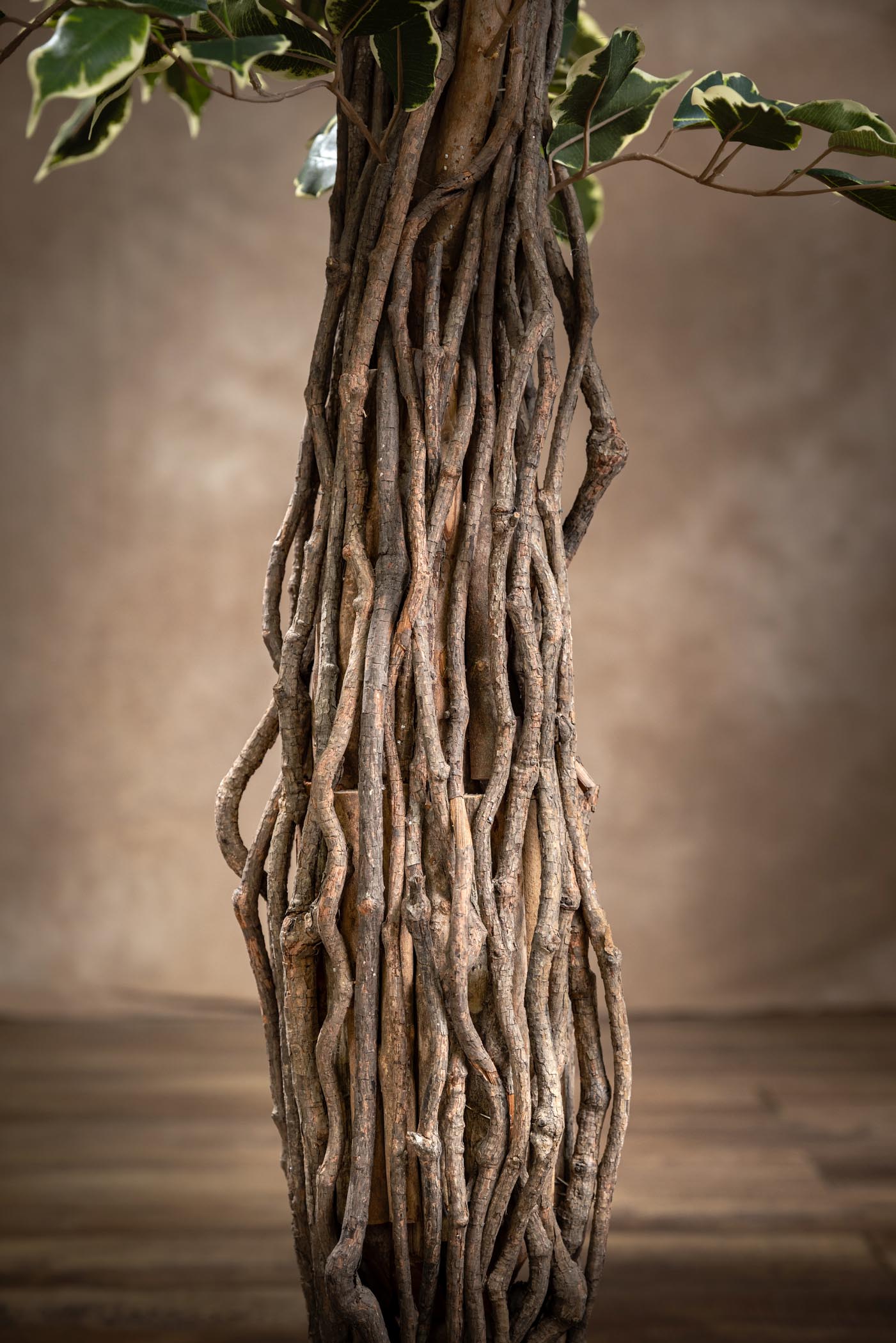 ficus benjamin artificiale variegato Arte Fiore dettaglio tronco