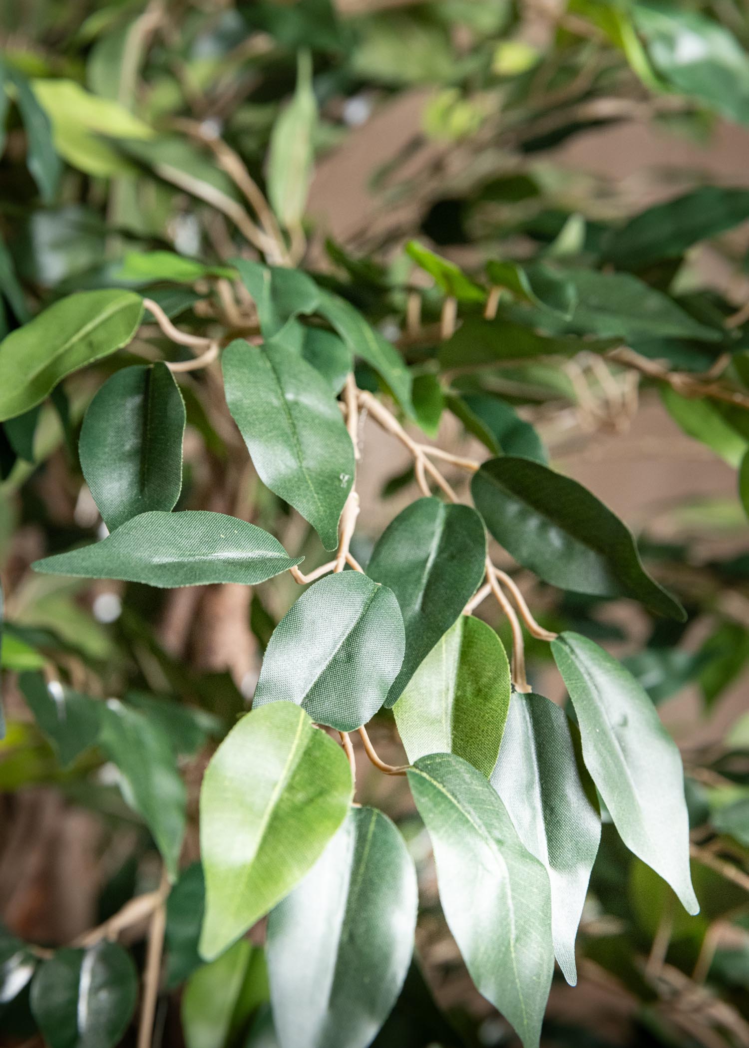 ficus benjamin artificiale verde Arte Fiore dettaglio fogliaggio