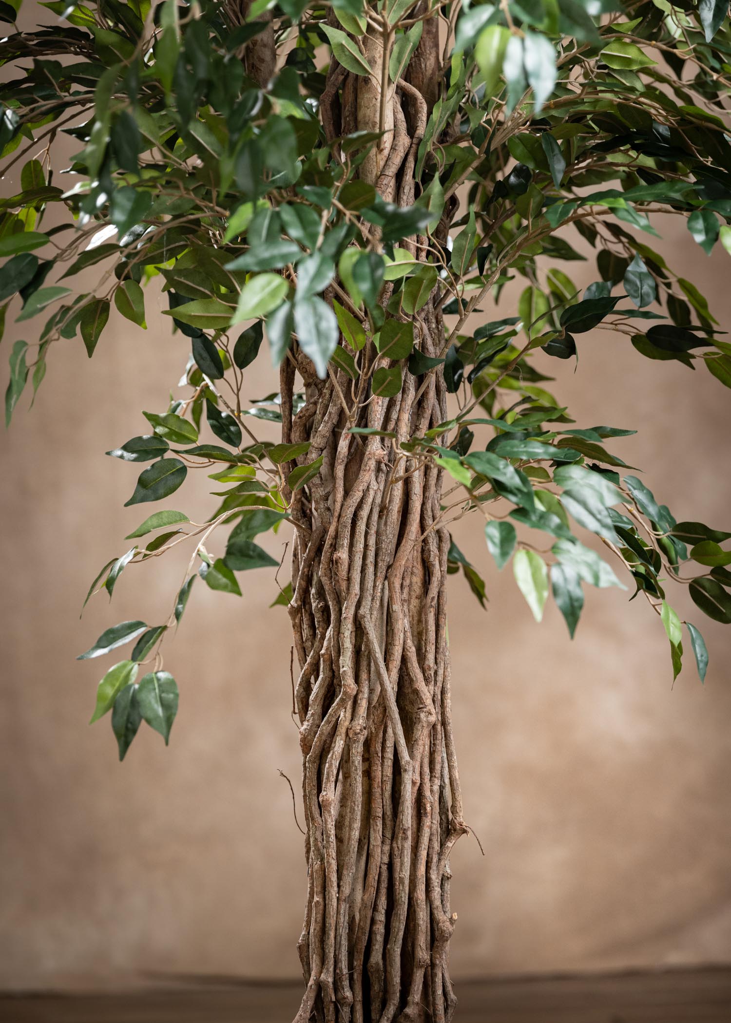 ficus benjamin artificiale verde Arte Fiore dettaglio tronco int