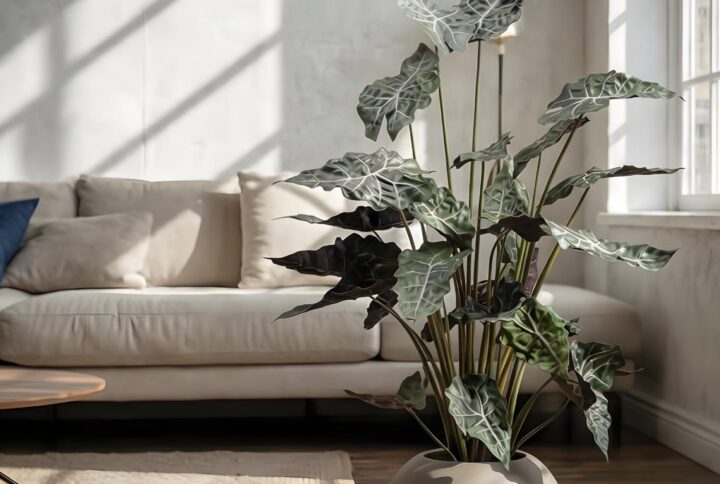 Pianta artificiale di alocasia da interno ambientata in soggiorno moderno