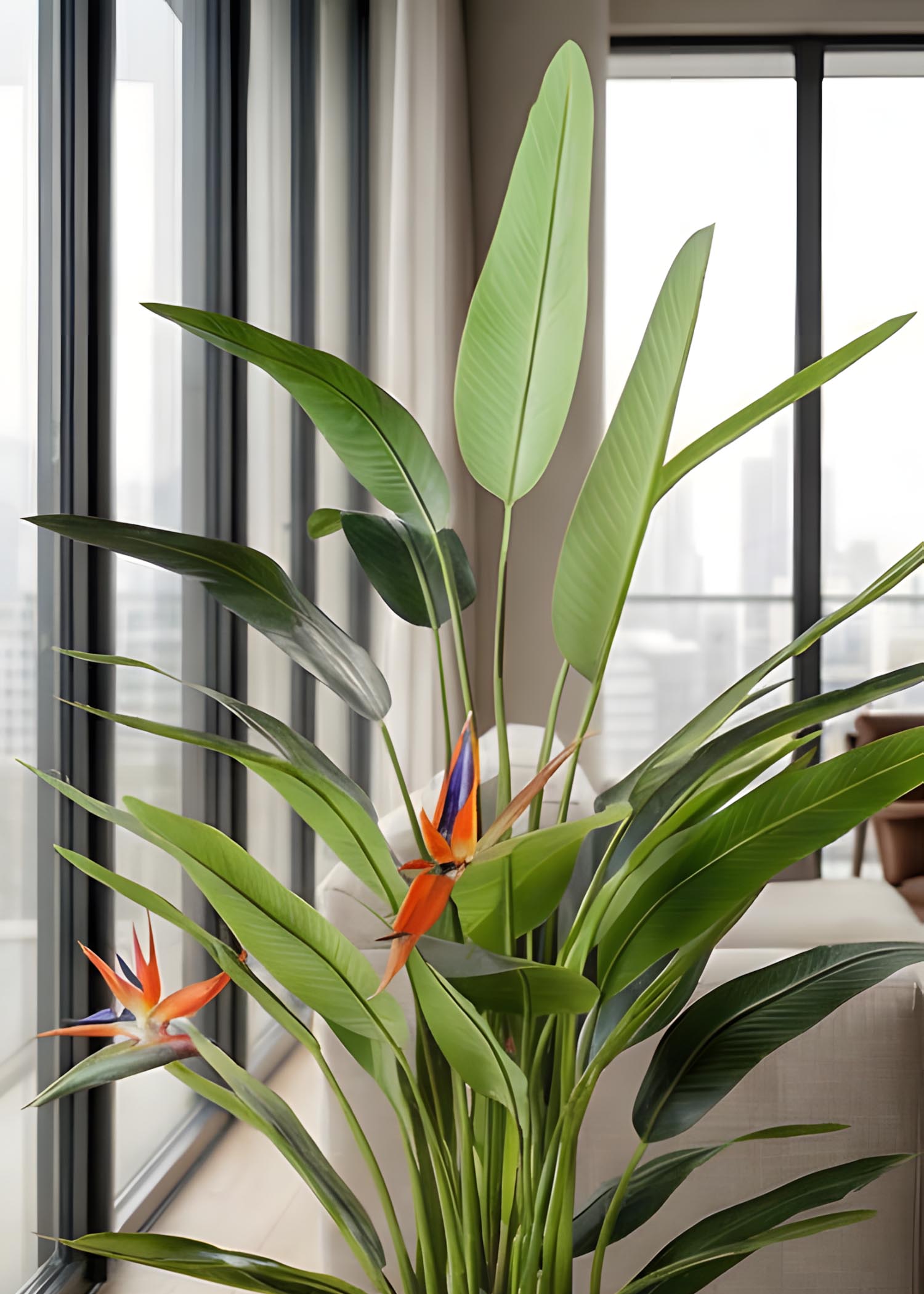pianta sterlizia artificiale foglie realistiche Arte Fiore