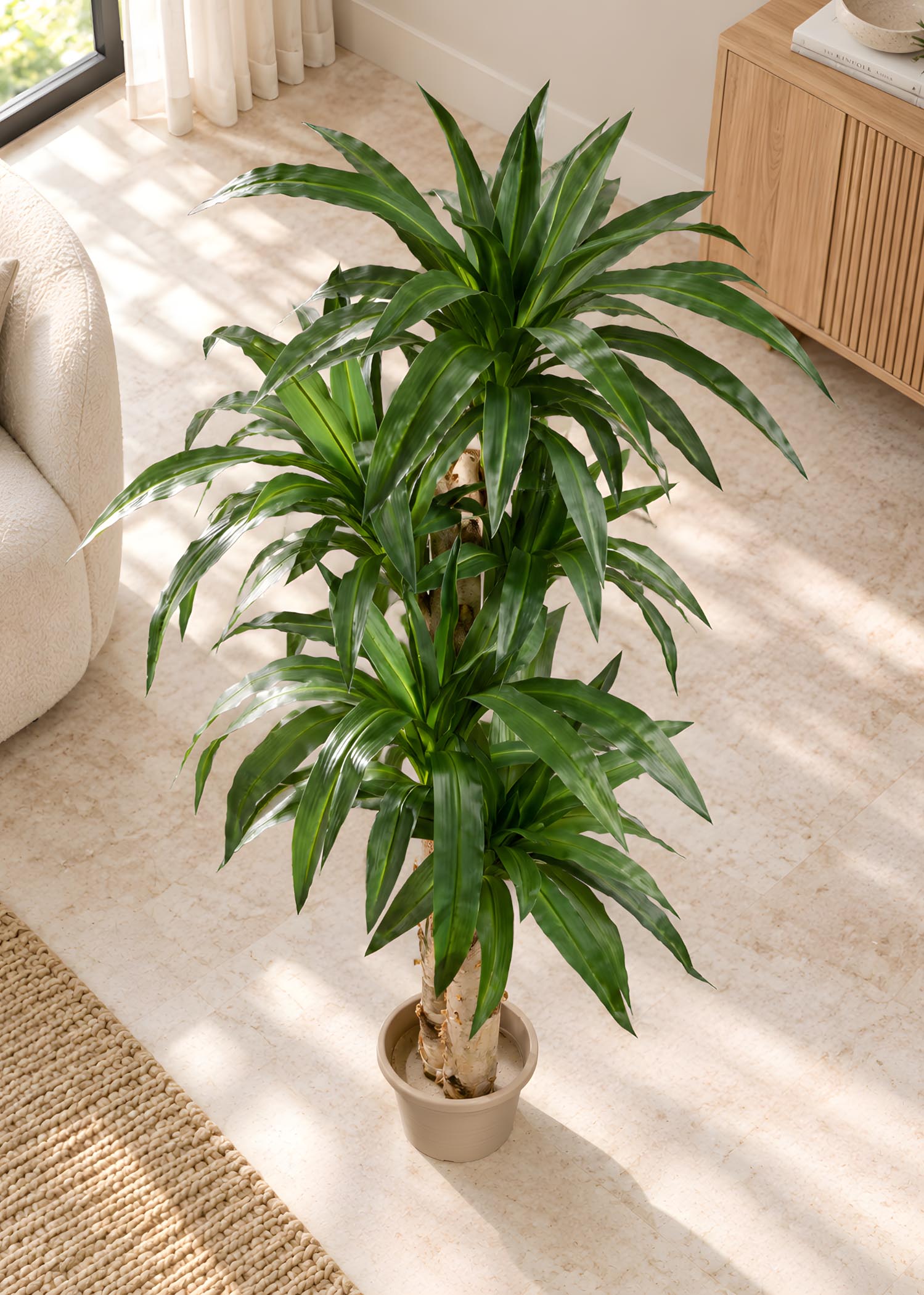 Dracena artificiale realistica vista dall’alto